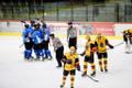 Jäähoki meistriliiga: HC Viking - Tartu Välk 494
