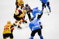 Jäähoki meistriliiga: HC Viking - Tartu Välk 494