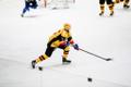 Jäähoki meistriliiga: HC Viking - Tartu Välk 494