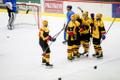 Jäähoki meistriliiga: HC Viking - Tartu Välk 494