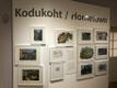 Haapsalus avati Ilon Wiklandi juubelinäitus