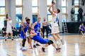 Korvpalli Eesti-Läti liiga: Tallinna Kalev/TLÜ – Rakvere Tarvas