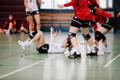 Naiste käsipalli meistriliiga finaalmäng: Reval-Sport/Mella – Reval-Sport
