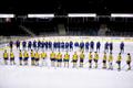 Jäähoki U-20 I divisjoni B-grupi MM: Eesti – Ukraina