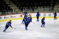 Jäähoki U-20 I divisjoni B-grupi MM: Eesti – Ukraina