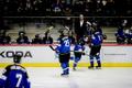 Jäähoki U-20 I divisjoni B-grupi MM: Eesti – Ukraina