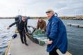 Haabjamehed jõudsid Soomaalt Lennusadamasse