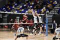 Võrkpalli CEV Challenge Cup: Tartu Bigbank - Prešovi PU