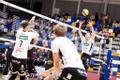 Võrkpalli Balti liiga: Tartu Bigbank – Ezerzeme/DU/Homelike