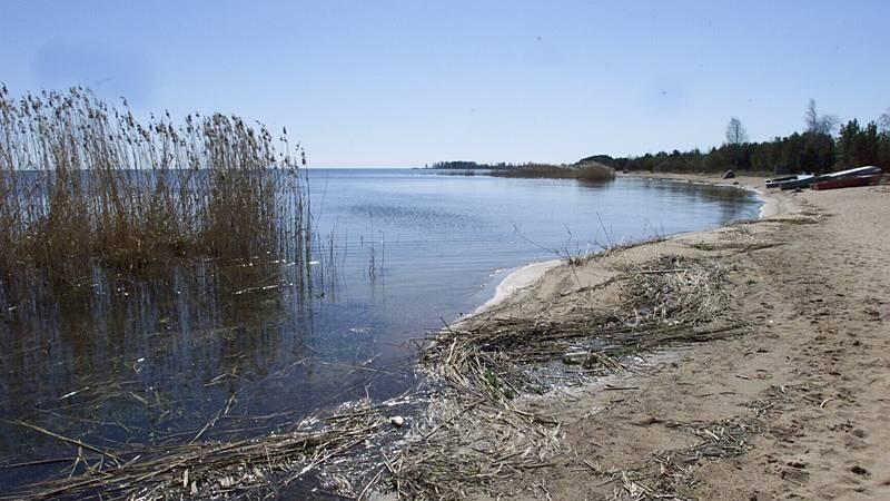 Lake Peipsi