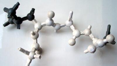 Peptiidi mudel.