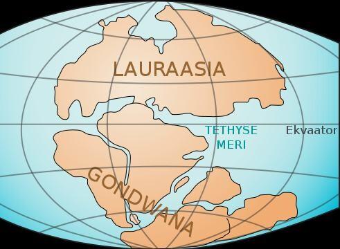 Mandrite triivi teooria saab saja-aastaseks