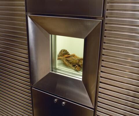 Jäämees Ötzi vere uuring täpsustas iidse mõrvaloo üksikasju