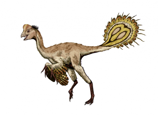 Saurused eputasid sabasulgedega