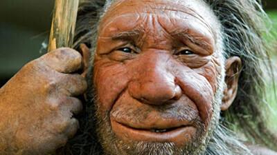 Neandertallasi meenutavad tänaseks päevaks peale luude vaid muuseumite rekonstruktsioonid.