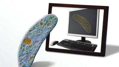 Foto: Coverti laboratoorium
