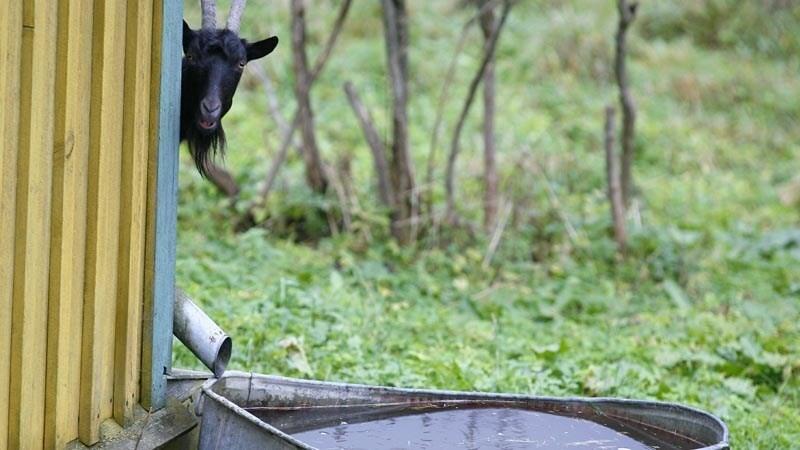 Иллюстративная фотография