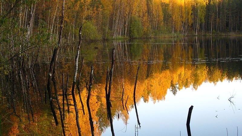 Kuradijärv Marko.