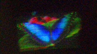 Liblika hologramm.