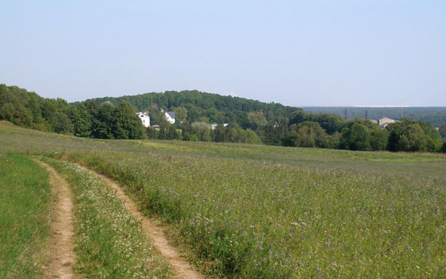 Sinimäe Hills