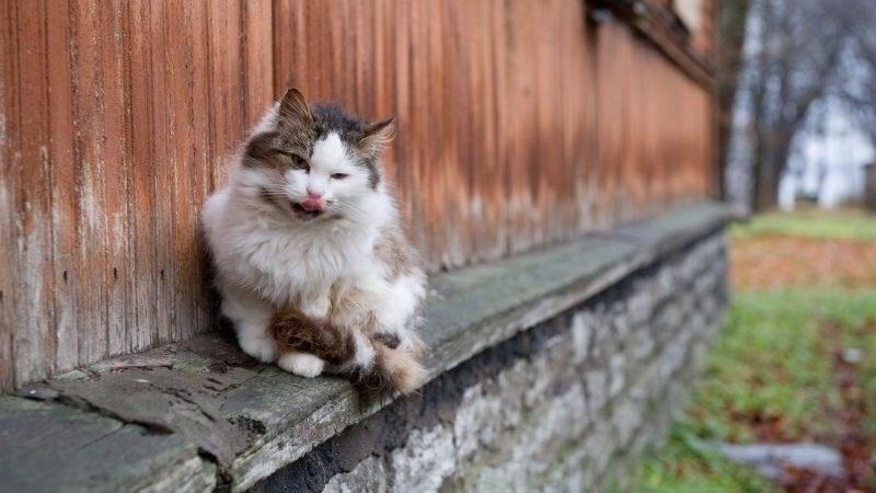 Иллюстративная фотография.