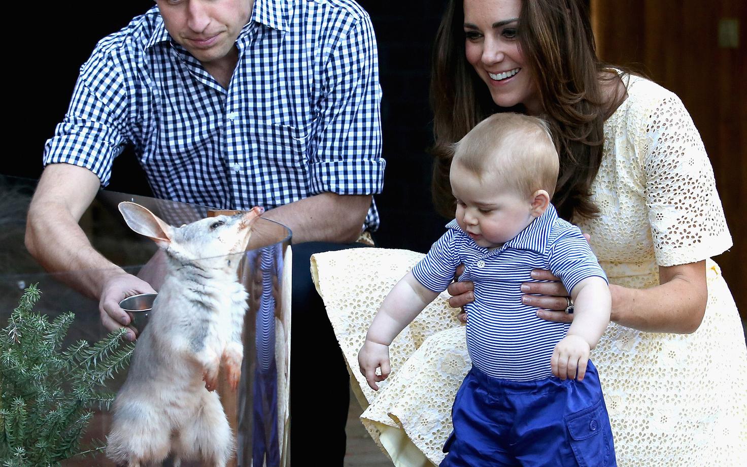 Kate ja William Sydney loomaaias