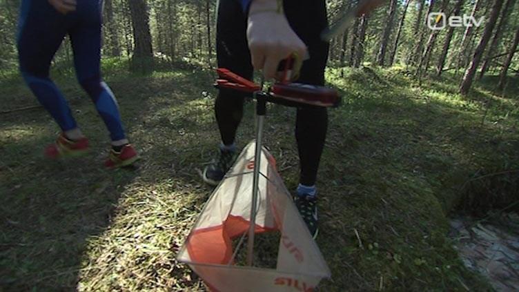 Orienteerumine