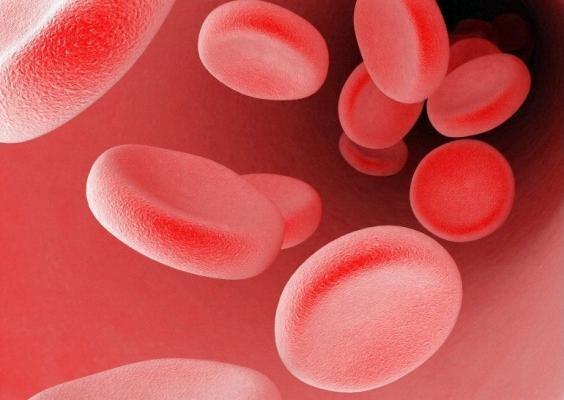Punased verelibled muutuvad võimekamaks