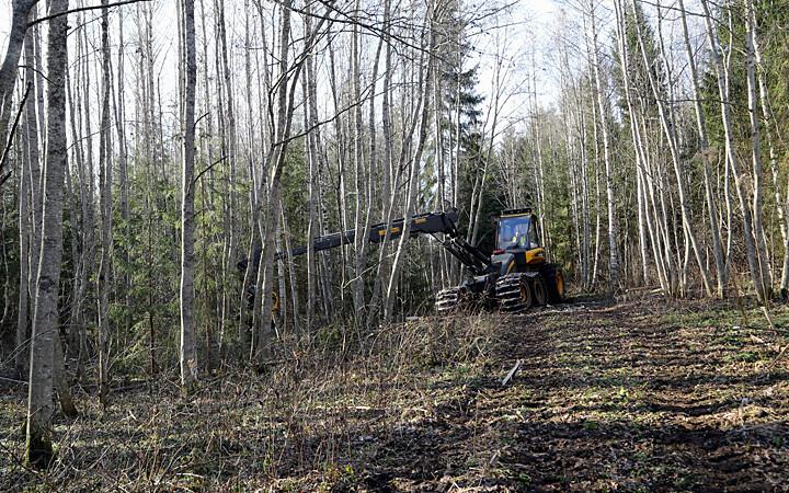 25. oktoobril 2014 alustas RMK Eesti-Vene kontrolljoone puhastamist