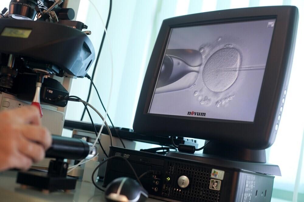 Munaraku viljastamine tehistingimustes (IVF ehk in vitro fertilization).