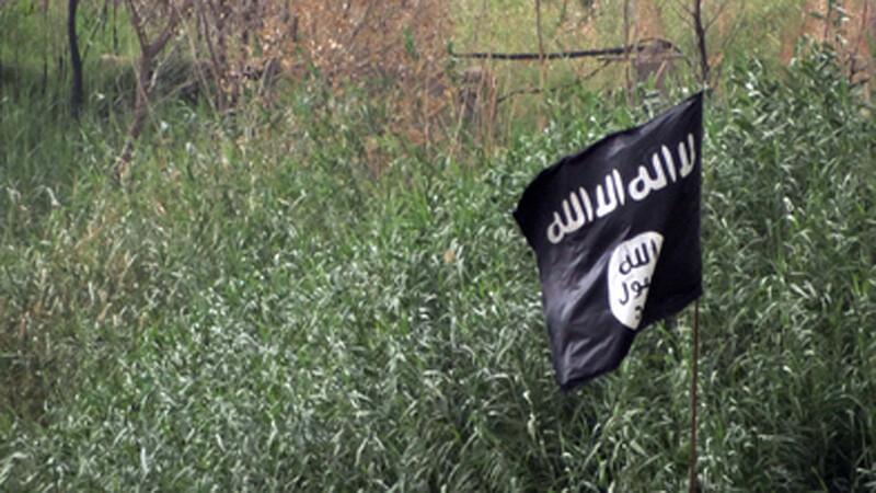 ISIS-e lipp.