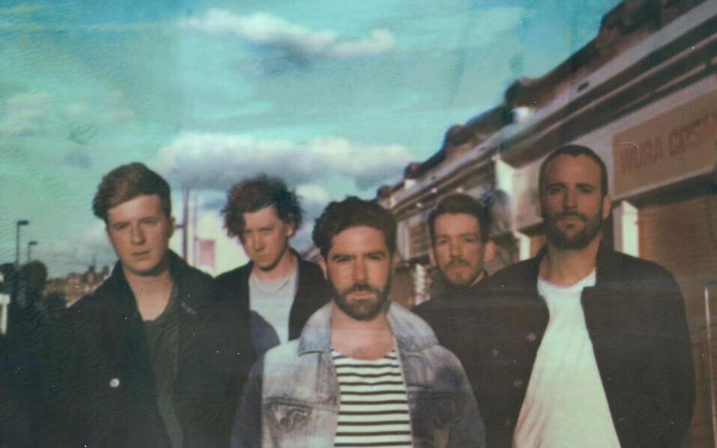 Foals