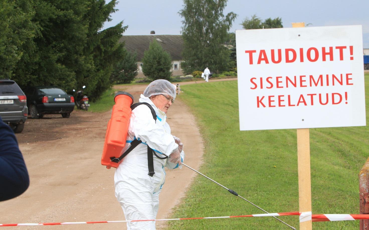 Tartumaa seafam, kust avastati sigade Aafrika katk.