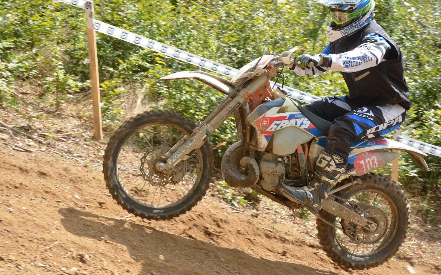 Elary Talu