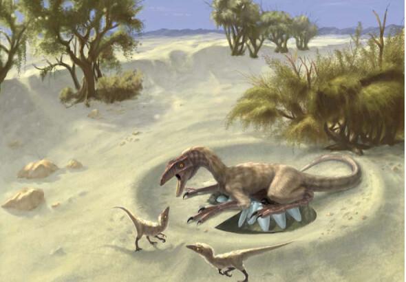 Oviraptoridae.