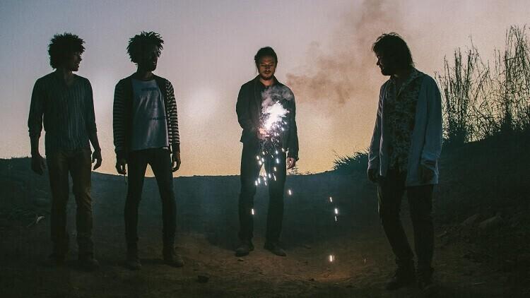 Boogarins