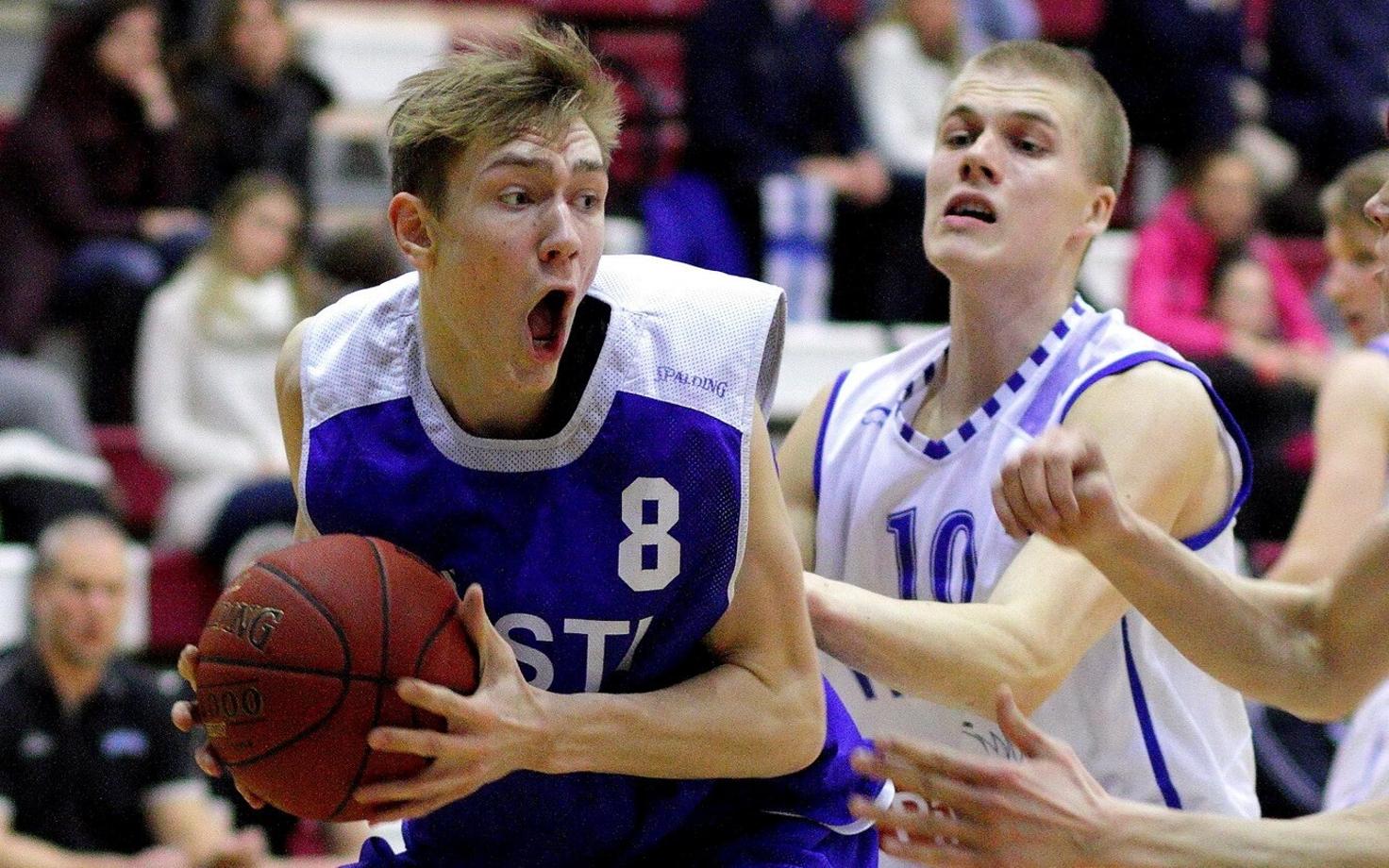 Sander Raieste