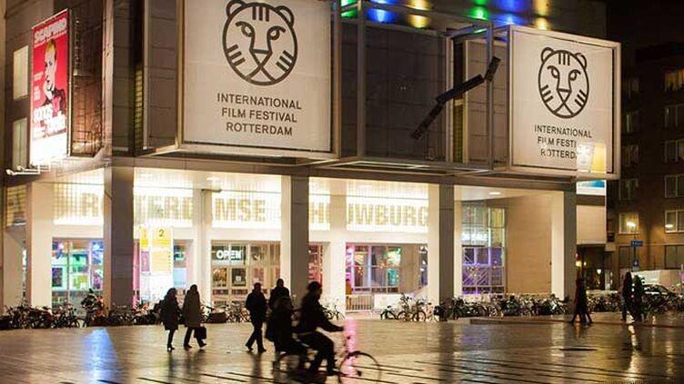 Rotterdami filmifestival
