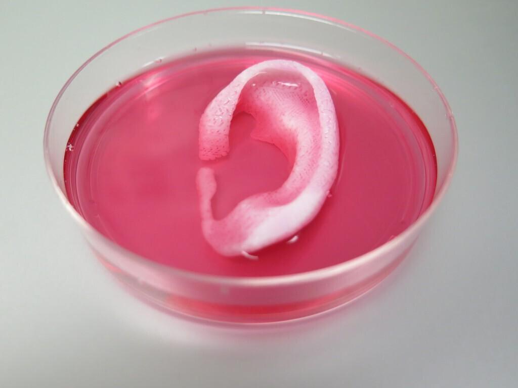 3D prinditud kõrv