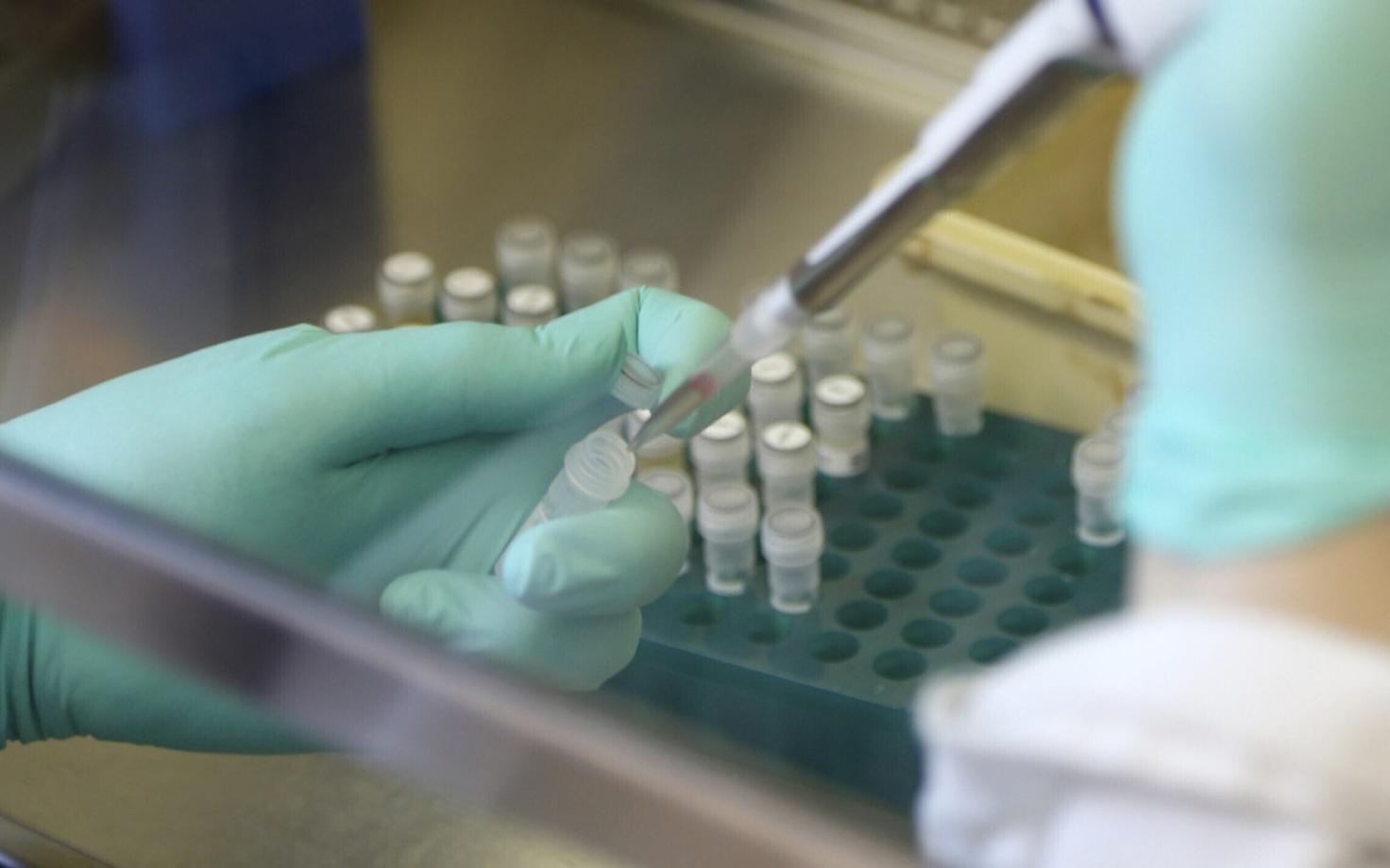 Zika-viiruse uurimine laboris.