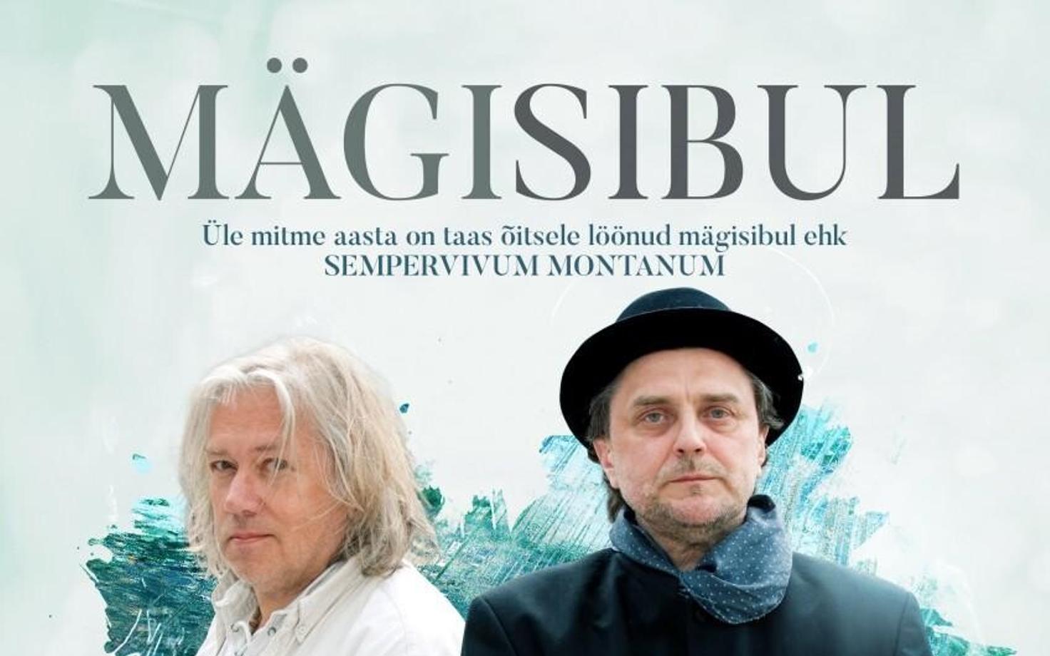 Mägi&Sibul