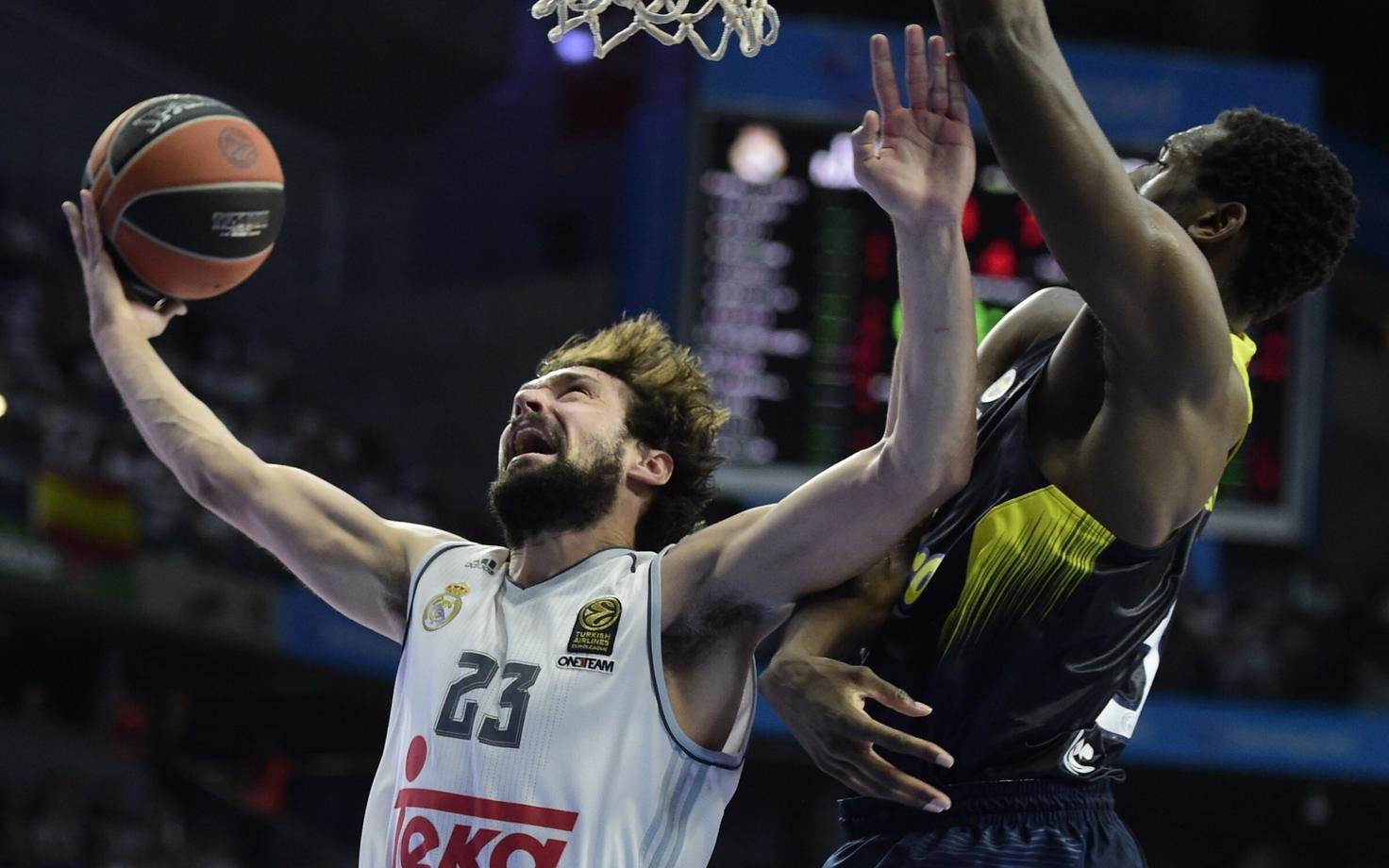 Sergio Llull