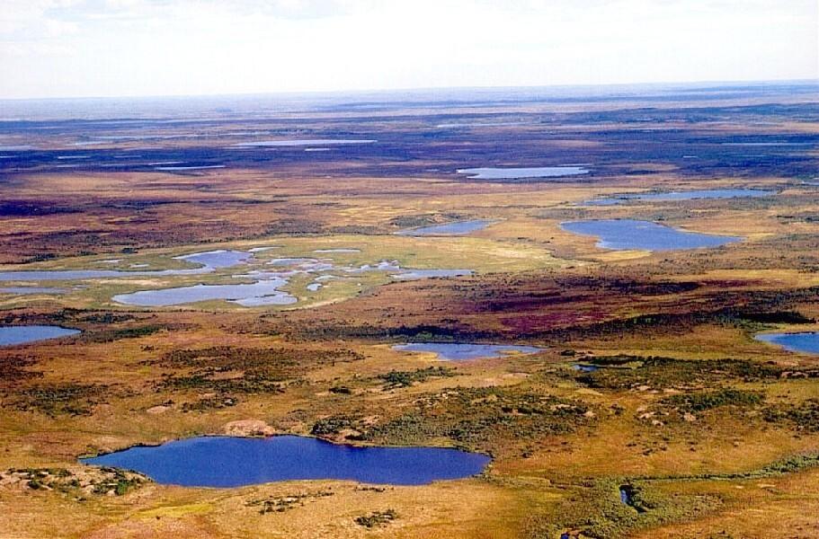 Selline võis näha taimestik ja maastik välja jääaja üleminekul jäävaheajale ehk pärast tugevat kliimasoojenemist 11 000 aasta eest.