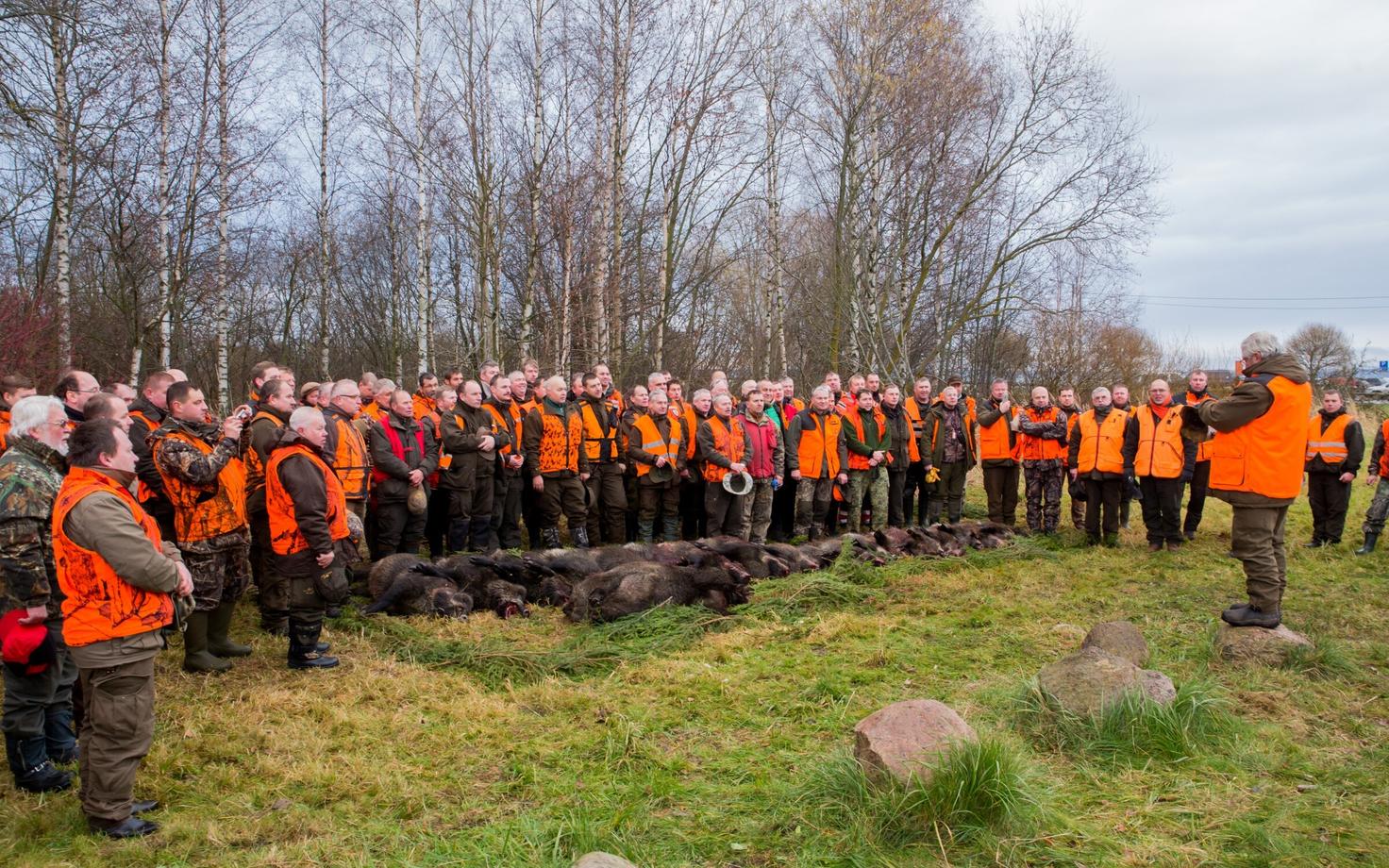 Metsseajaht Paljassaare poolsaarel 2015. aasta sügisel.