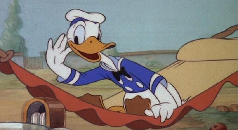 Piilupart Donald
