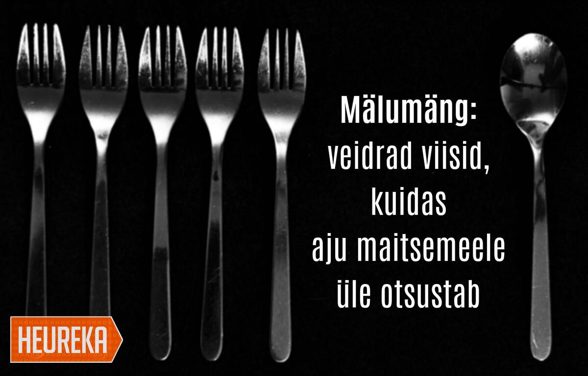 Toidu maitset võib tõlgendada muljena toidu kohta: tihti otsustab aju juba enne maitsmist, kuidas meile toit tundub. Seda nõude kuju ja värvi, aga ka toidu serveerimise põhjal.