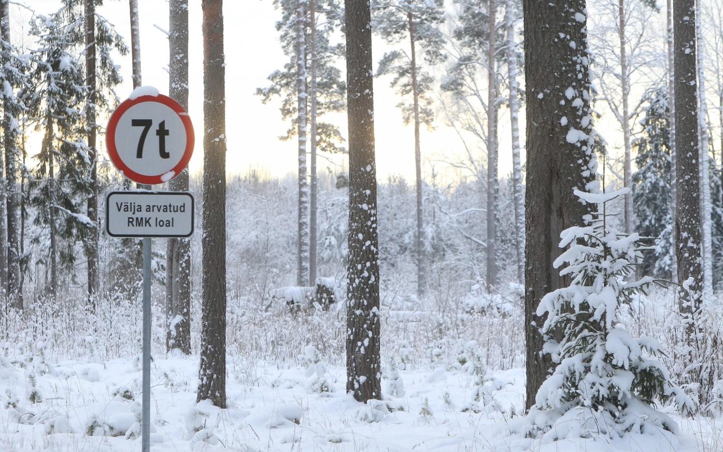 Männimets.
