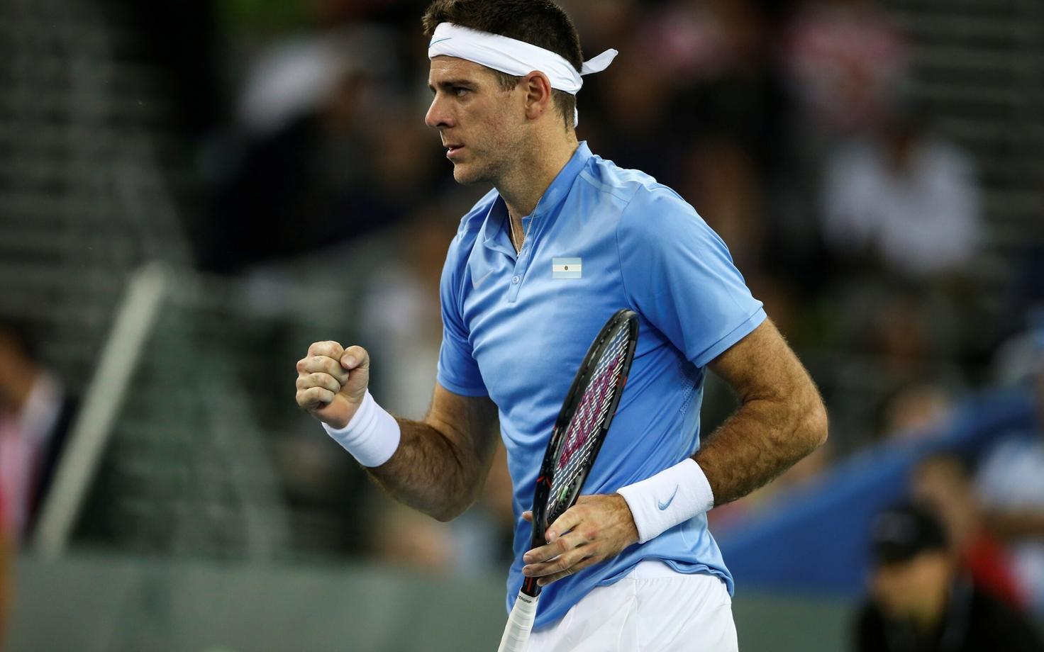 Juan Martin del Potro