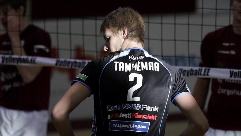 Timo Tammemaa