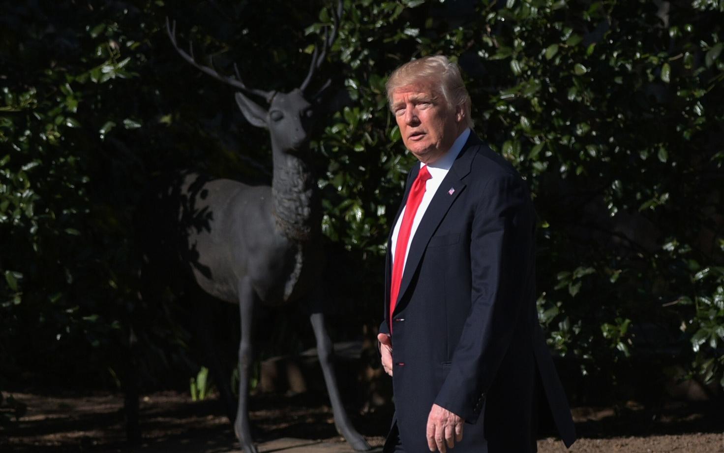 USA president Donald Trump.